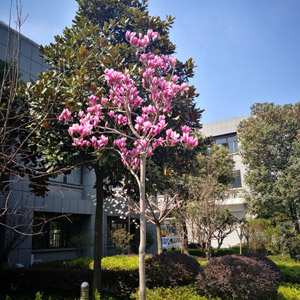 �S�^(q��)�h(hu��n)��